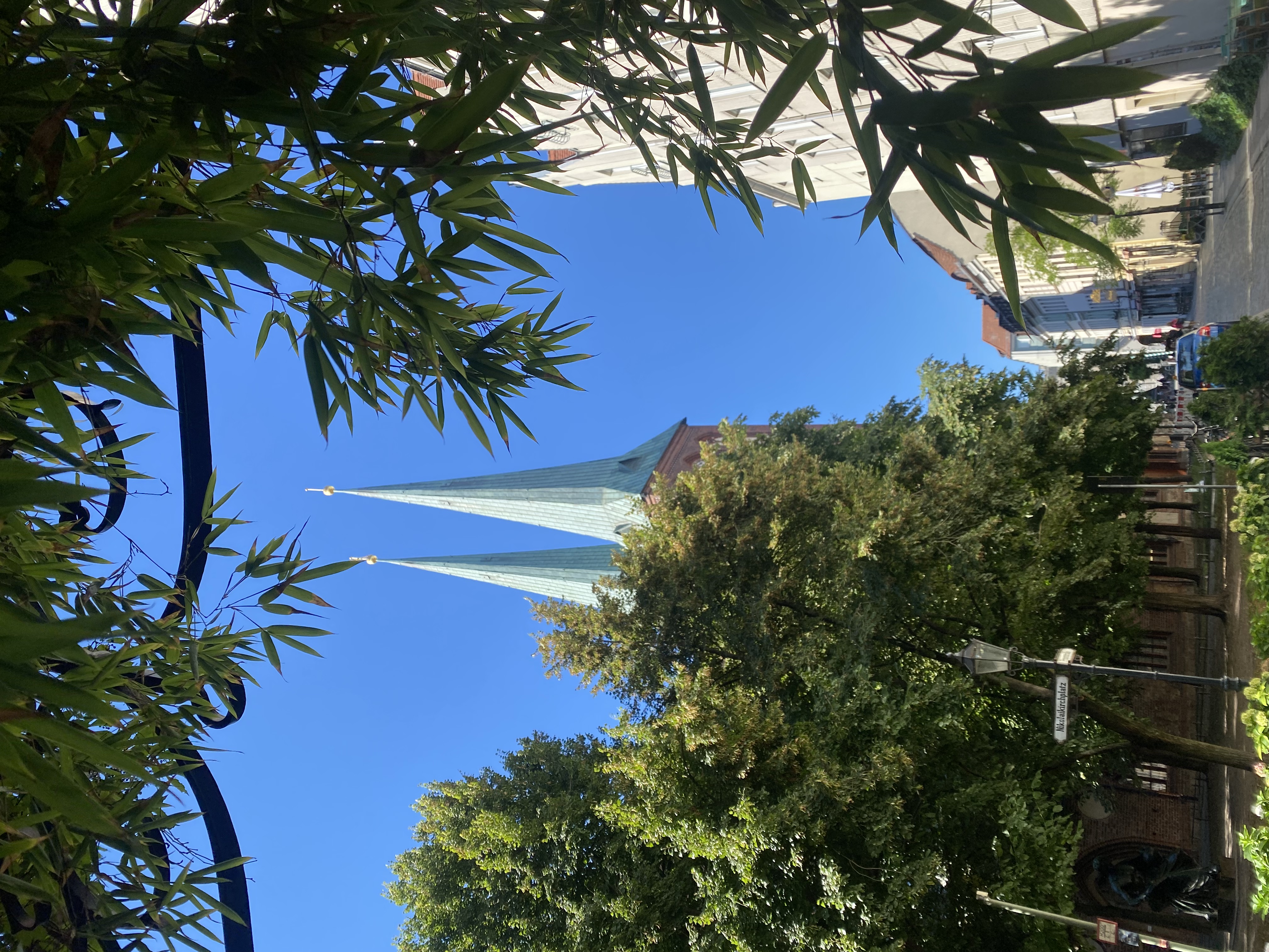 The twin spires of the Nikolaikirche framed by bamboo and summer foliage in Nikolaiviertel