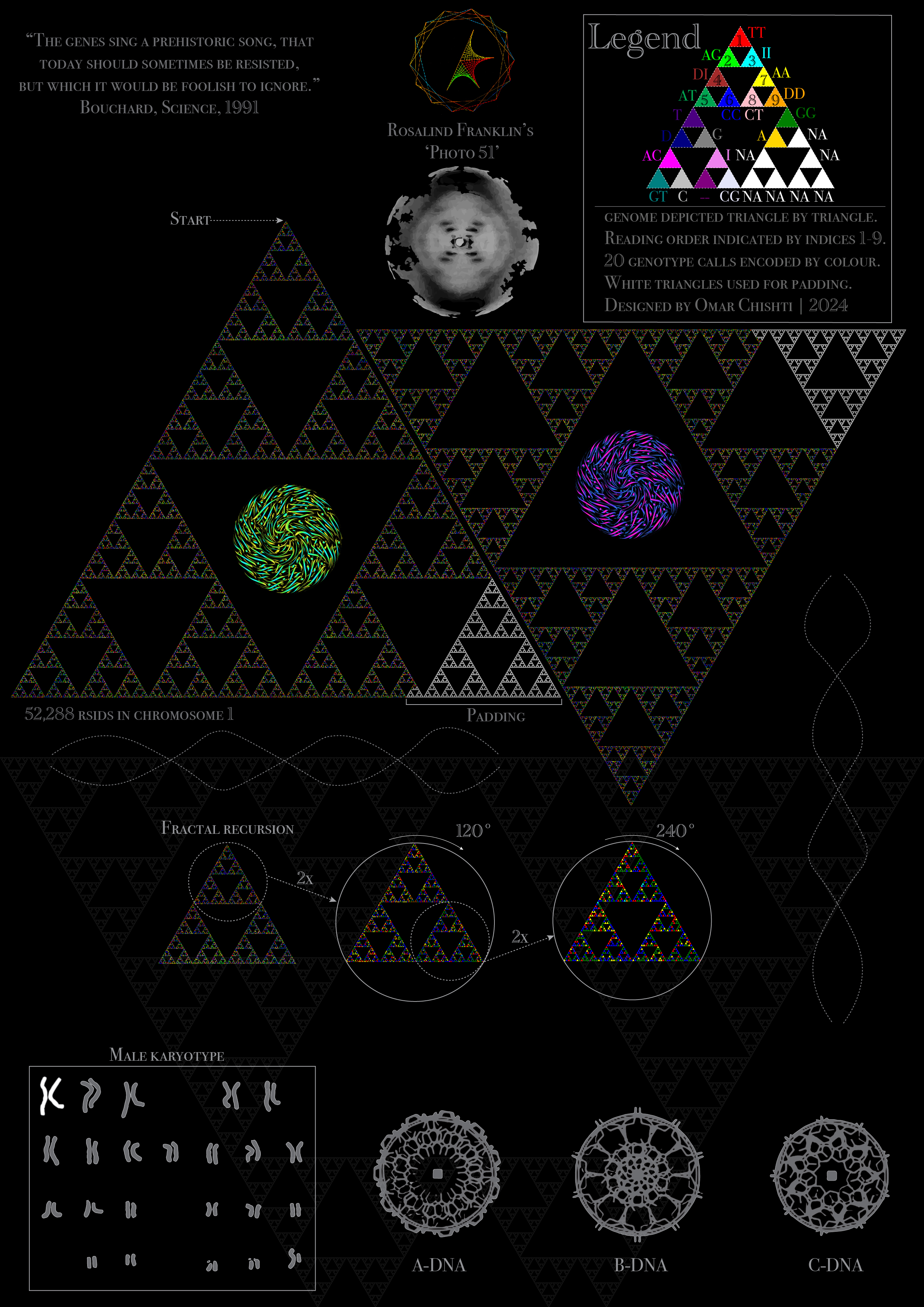 DNA Fractal visualisation