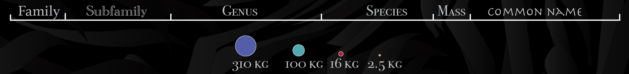 Legend showing technical nomenclature