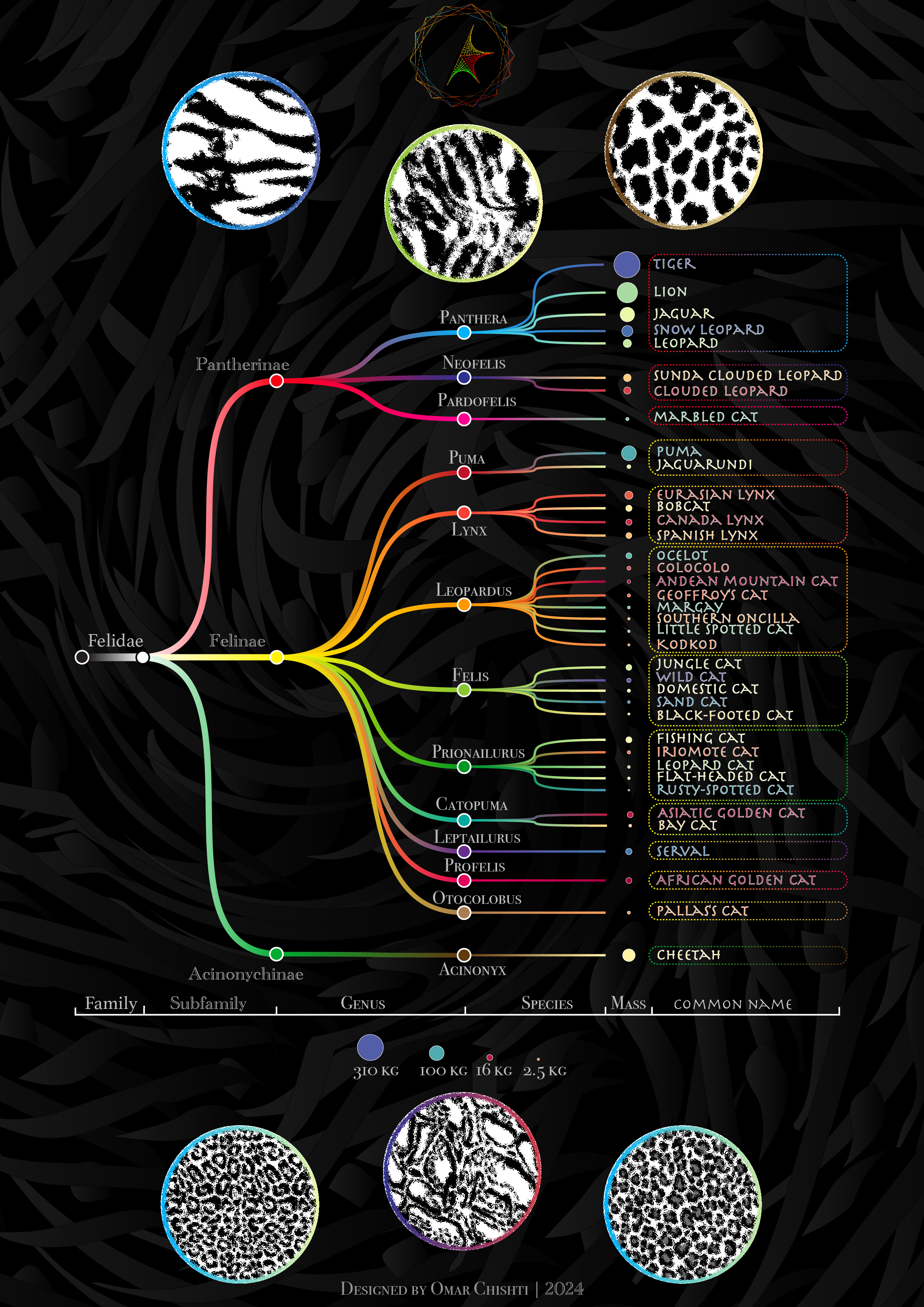 Feline Phylogeny visualisation