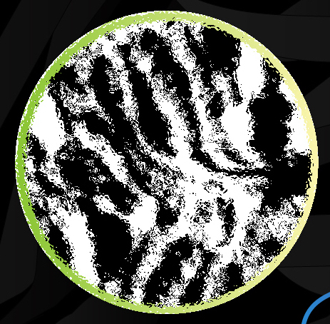 Pattern from Zafran the cat