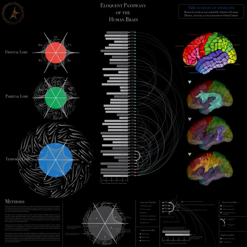 Language Network Visualization